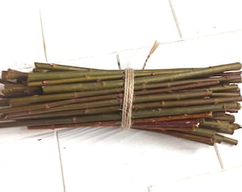 Bastoncini di salice biologici, bastoncini di salice, dolcetti per cincillà, giocattolo a forma di coniglietto, giocattolo a forma di cincillà, giocattolo da masticare biologico, giocattolo da masticare naturale, giocattolo da masticare per porcellini d'India