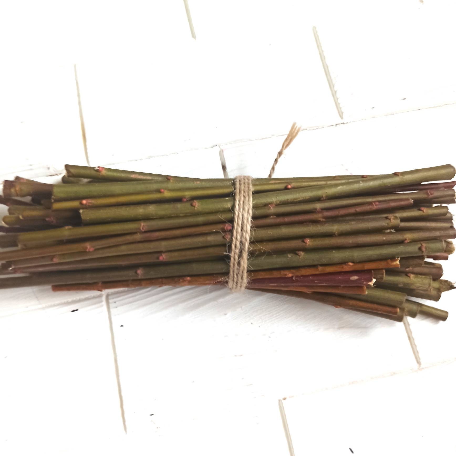 Organic Willow Sticks,Willow sticks,Chinchilla treats, Bunny toy, Chinchilla toy, Organic chew toy,Natural chew toy,Guinea pig chew toy