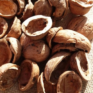 Walnut shell halves,Walnut halves creativity,Walnut Slices,Crafts Supplies,Walnut halves creativity,Organic Natural,Wedding Ornament