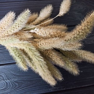 Setaria Millet Spray , Organic Mohair Millet
