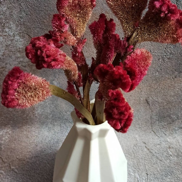 10 Dried Celosia,Dried Celosia Cockscomb Burgundy,Bunch of rose pink celosia cockscomb, dark pink dried flowers, pink flower bunch