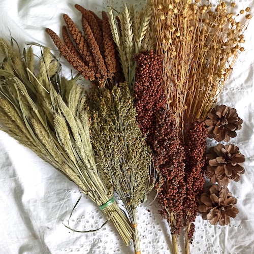 Organic Hamster Sprays Etsy