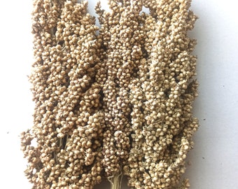 Organic Sorghum, Hamster Sprays