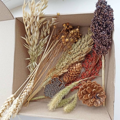 Organic Hamster Sprays Set Organic Sprays Box Bird Sprays Etsy