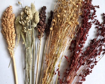 oat spray for hamsters