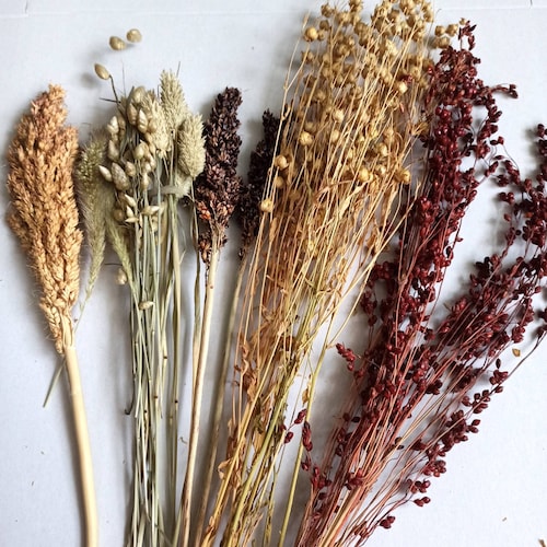 150 G Hamster Sprays Sethamster Sprays Hamster Cage Etsy