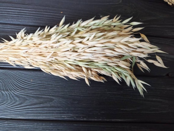 Organic Oat Spray Hamster Sprays