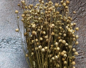 Organic Flax Spray, Hamster Flax Seed