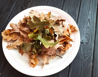 Leaf Litter, Live Oak Leaf Litter
