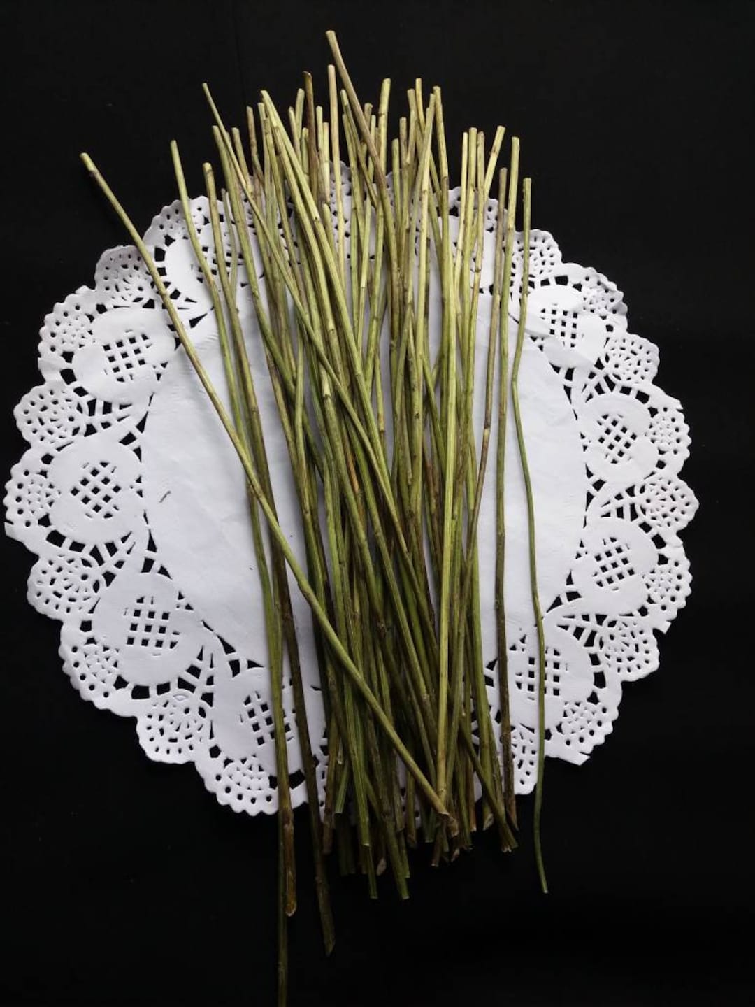Yarrow Stalks I Ching Dried Yarrow Yarrow Sticks Etsy