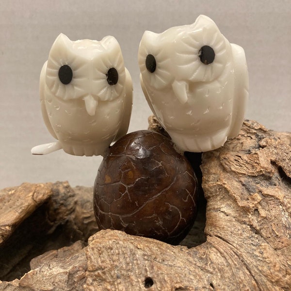 Owls on a Branch/ Tagua Nut / Eco-jewelry / Vegetable Ivory / Organic