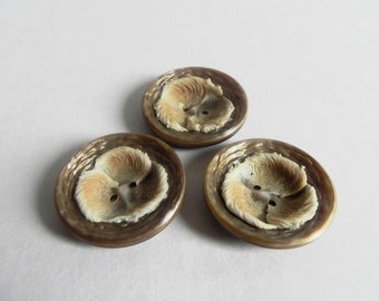 3, 32mm Brown Buttons