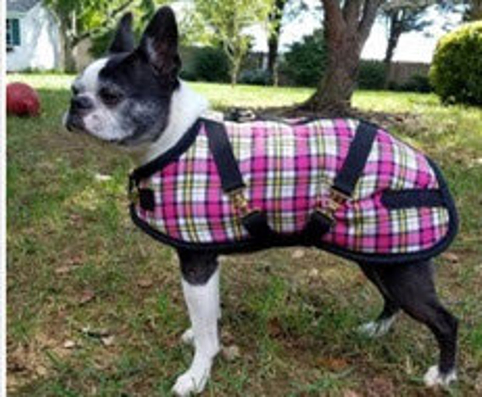 Foggy Mountain Dog Coat Personalized Embroidery Plaid or Etsy