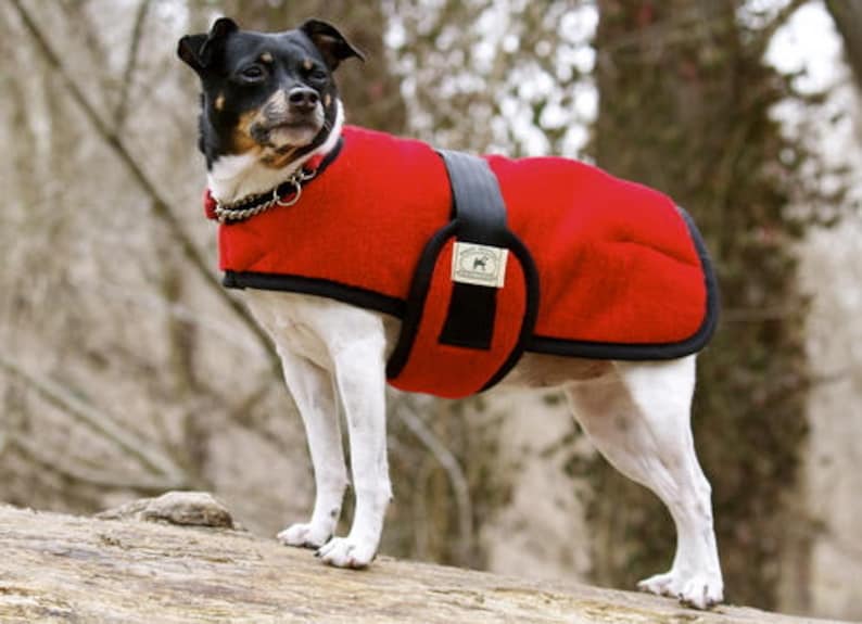 Dog Coatfoggy Mountain Snuggler & Turnout Style Can Be Etsy