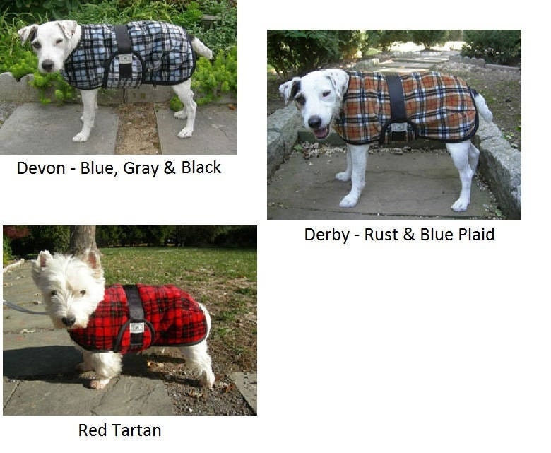 Personalized dog coats embroidered Clearance