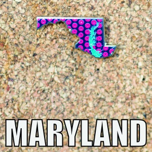 Puede incluir: Un pin con la forma de Maryland, con un fondo azul marino y patrones circulares rosas. El contorno del estado está acentuado con un diseño verde turquesa. La palabra "MARYLAND" está impresa en letras blancas en negrita debajo.