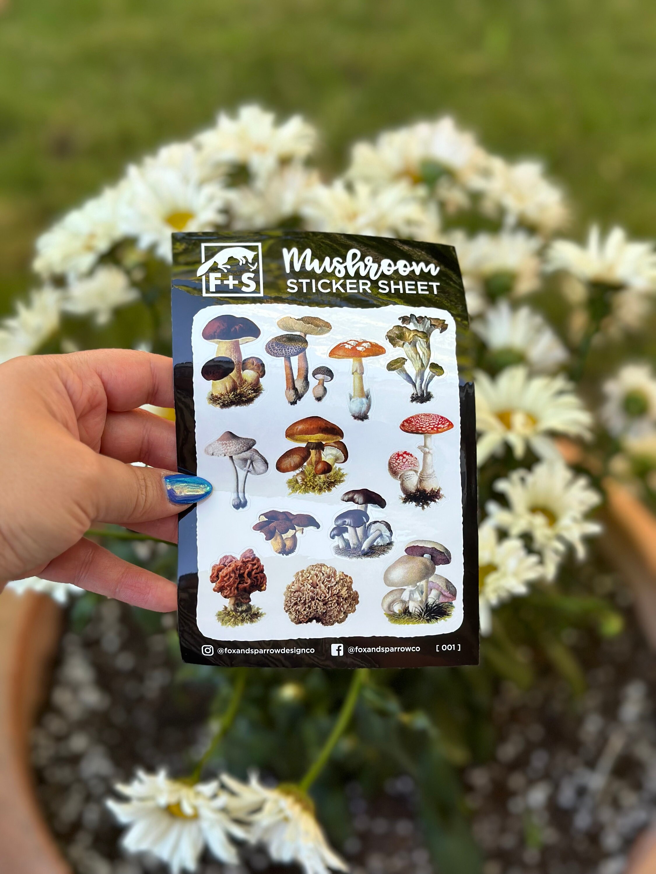 Mushroom Waterproof Sticker Sheet [001] - Thumbnail 2