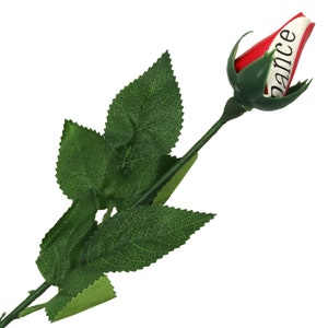 May include: A single red and white rose bud with green leaves and a stem. The bud has the word "Dance" written on it.