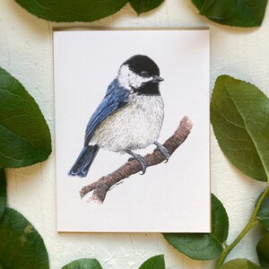 Schwarzkopfmeisevogel Grußkarte | Karte Vogel | Leere Karte | Meise Kunst | Grußkarte | Danke-Karte