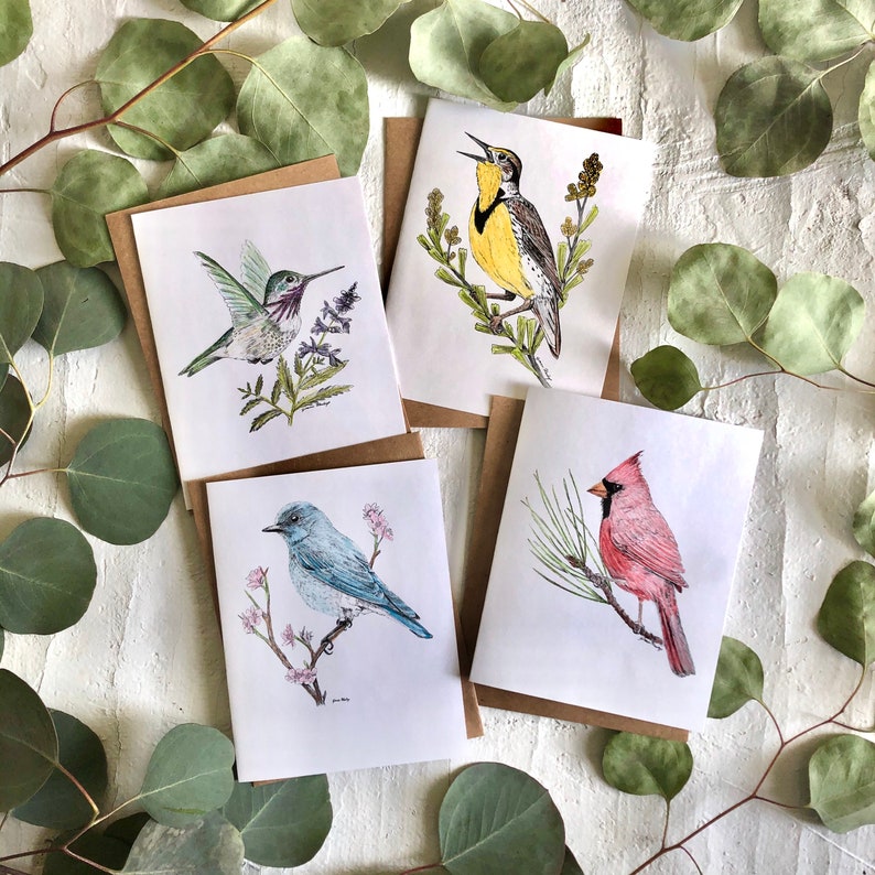 Bluebird Hummingbird Notecards 4 Pack: Meadowlark Cardinal