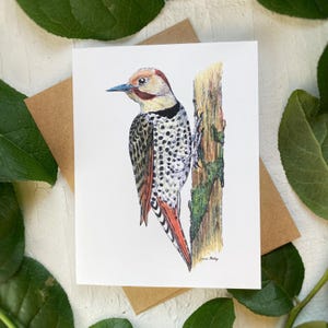 Common Northern Flicker | Bird Notecard | Bird Card | Blank Card | Red Flicker | Yellow Flicker
