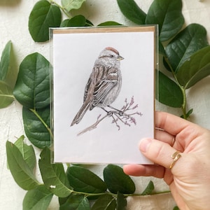 American Tree Sparrow | Bird Notecard | Blank Card | Bird Card