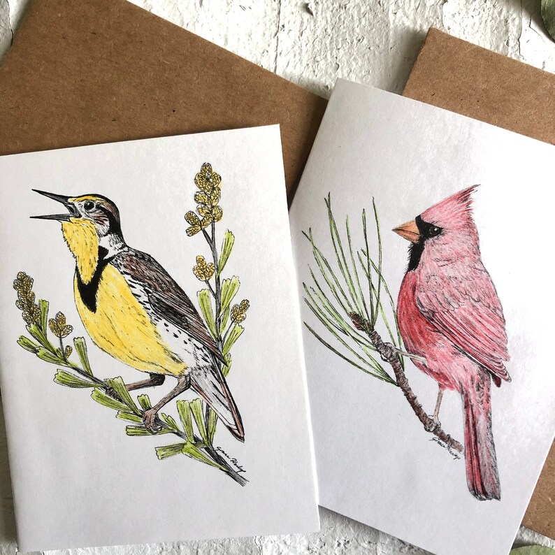Bluebird Hummingbird Notecards 4 Pack: Meadowlark Cardinal