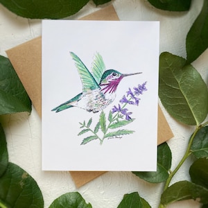 Calliope Kolibri Karte | Karte Vogel | Leere Karte | Kolibri Kunst | Danke-Karte | Grußkarte | Kolibri Kunst