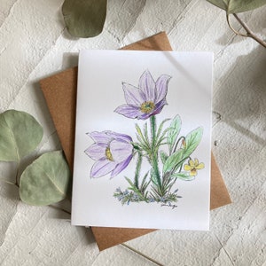 Tarjeta de notas Pasqueflower / Flores silvestres / Flores silvestres de Montana / Tarjeta de notas violeta de pie de ganso / Tarjeta en blanco / arte floral pasque