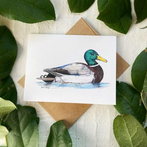 Stockente Entenvogel Grußkarte | Karte Vogel | Leere Karte | Stockenten Kunst | Ente Kunst | Grußkarte | Danke-Karte | Erpel Ente