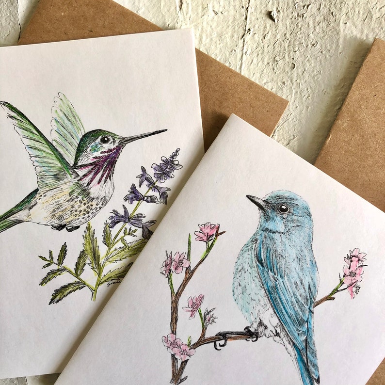 Bluebird Hummingbird Notecards 4 Pack: Meadowlark Cardinal