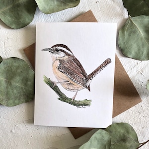 Carolina Wren Bird Notecard | Bird Card | Blank Card | Wren Art