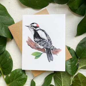 Downey Woodpecker Bird Notecard | Bird Card | Blank Card | Woodpecker Art