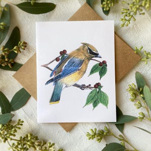 Seidenschwänzchen Grußkarte | Karte Vogel | Leere Karte | Zedernholz Wachsende Kunst | Grußkarte | Danke, Karte