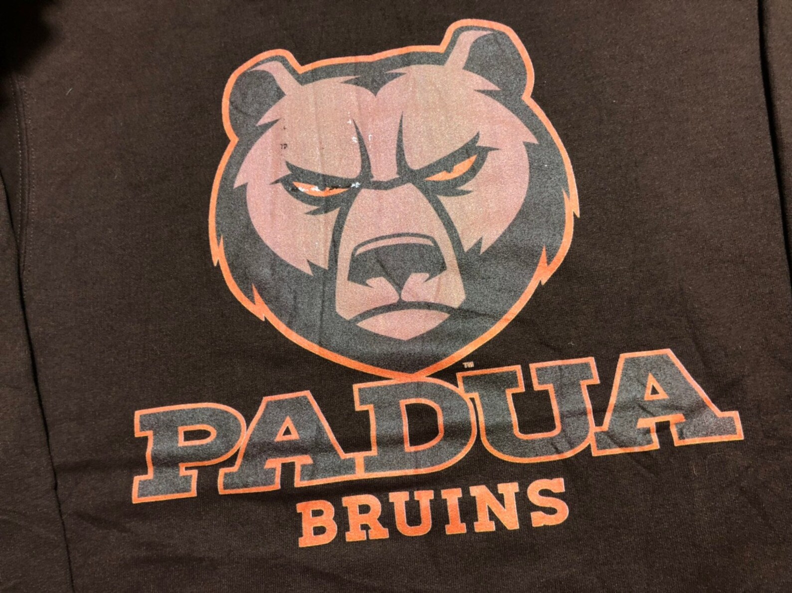 Vintage Padua Bruins sweater Big Logo Etsy