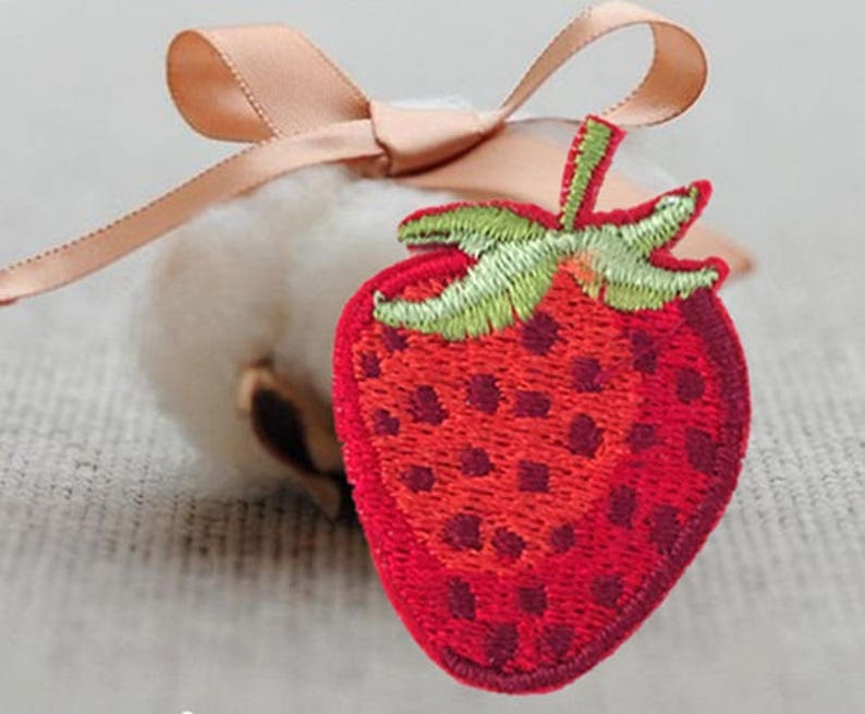 Strawberries Garden Embroidered Iron On Patch Canning Fruit Baking