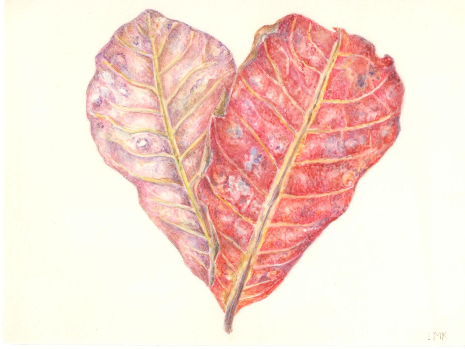 Terminalia Catappa on Calfskin Vellum Watercolor Painting, Botanical