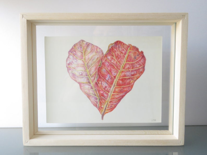 Terminalia Catappa on Calfskin Vellum Watercolor Painting, Botanical