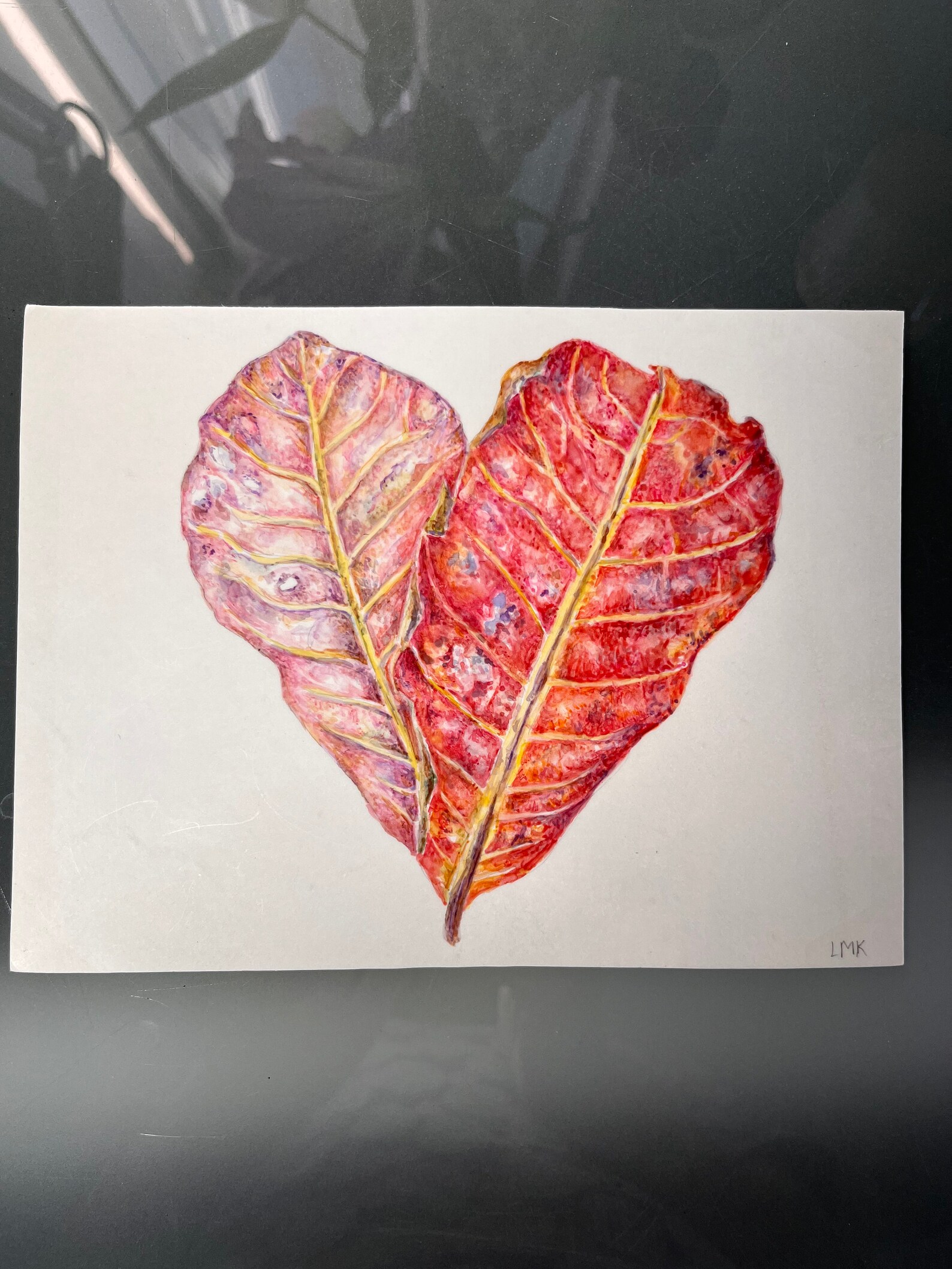 Terminalia Catappa on Calfskin Vellum Watercolor Painting, Botanical