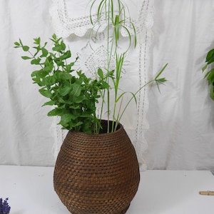 Burgundy basket, woven straw, basketwork, antique French cache pot, wabi-sabi, folk art