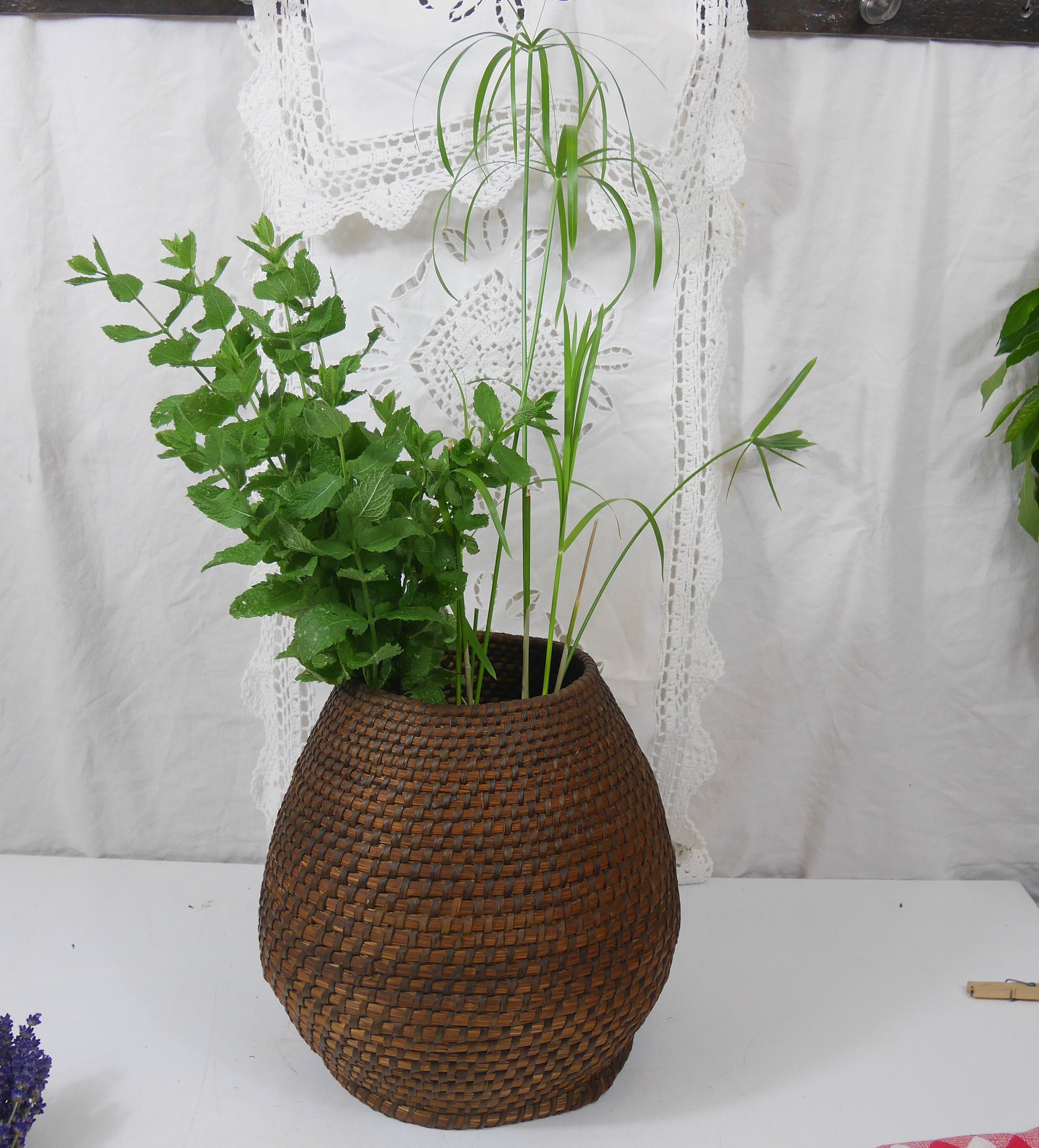 Panier cache pot plantes / fleurs - Corbeille Bac Coffre - 4
