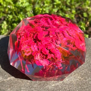 Preserved Pink Flower Resin Paperweight: Earthy Home Decor