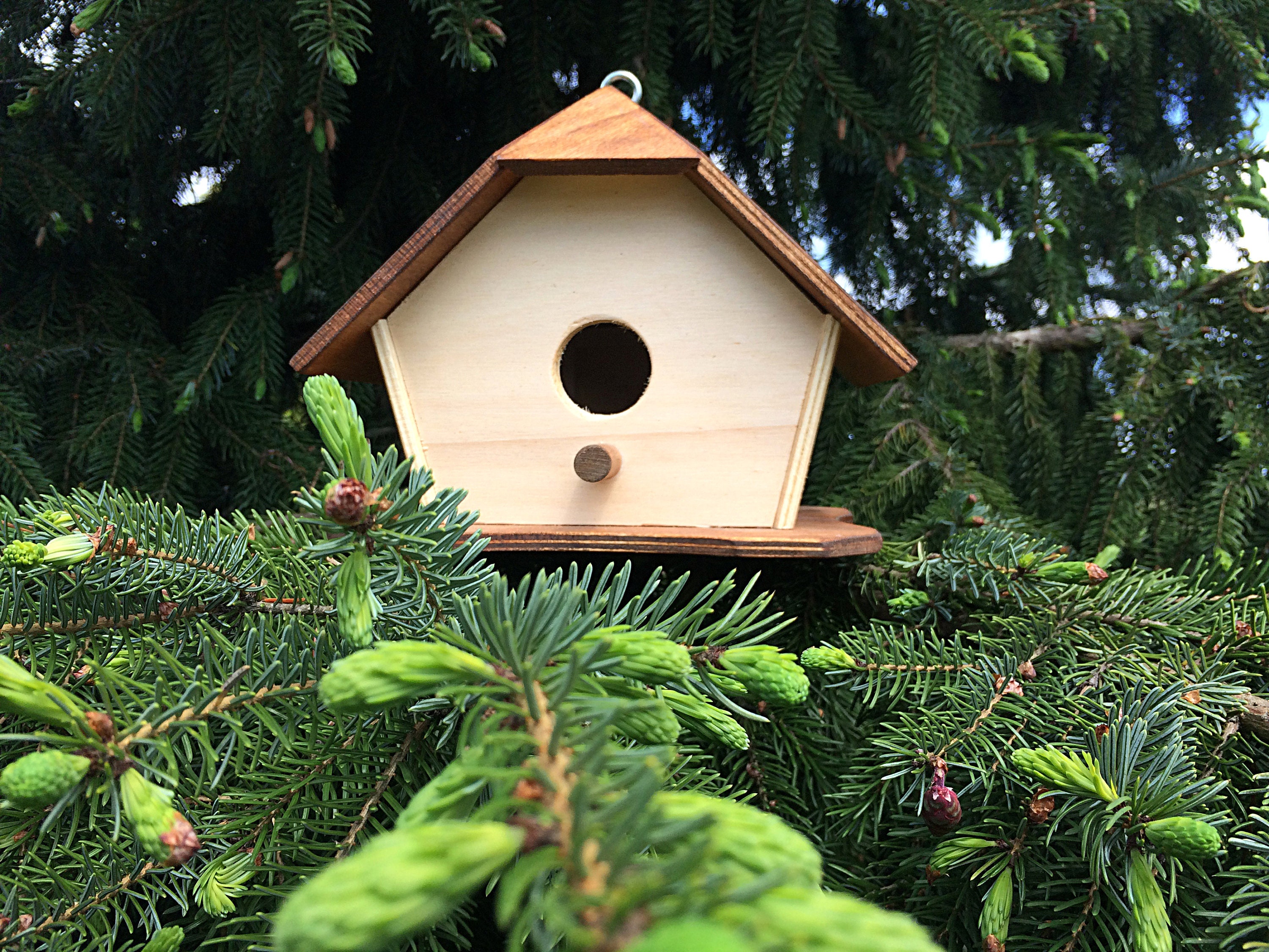 Casetta Per Uccelli In Legno Fatta A Mano Con Sportello Di Ispezione - Mangiatoia Da Giardino, 25x21x21 Cm