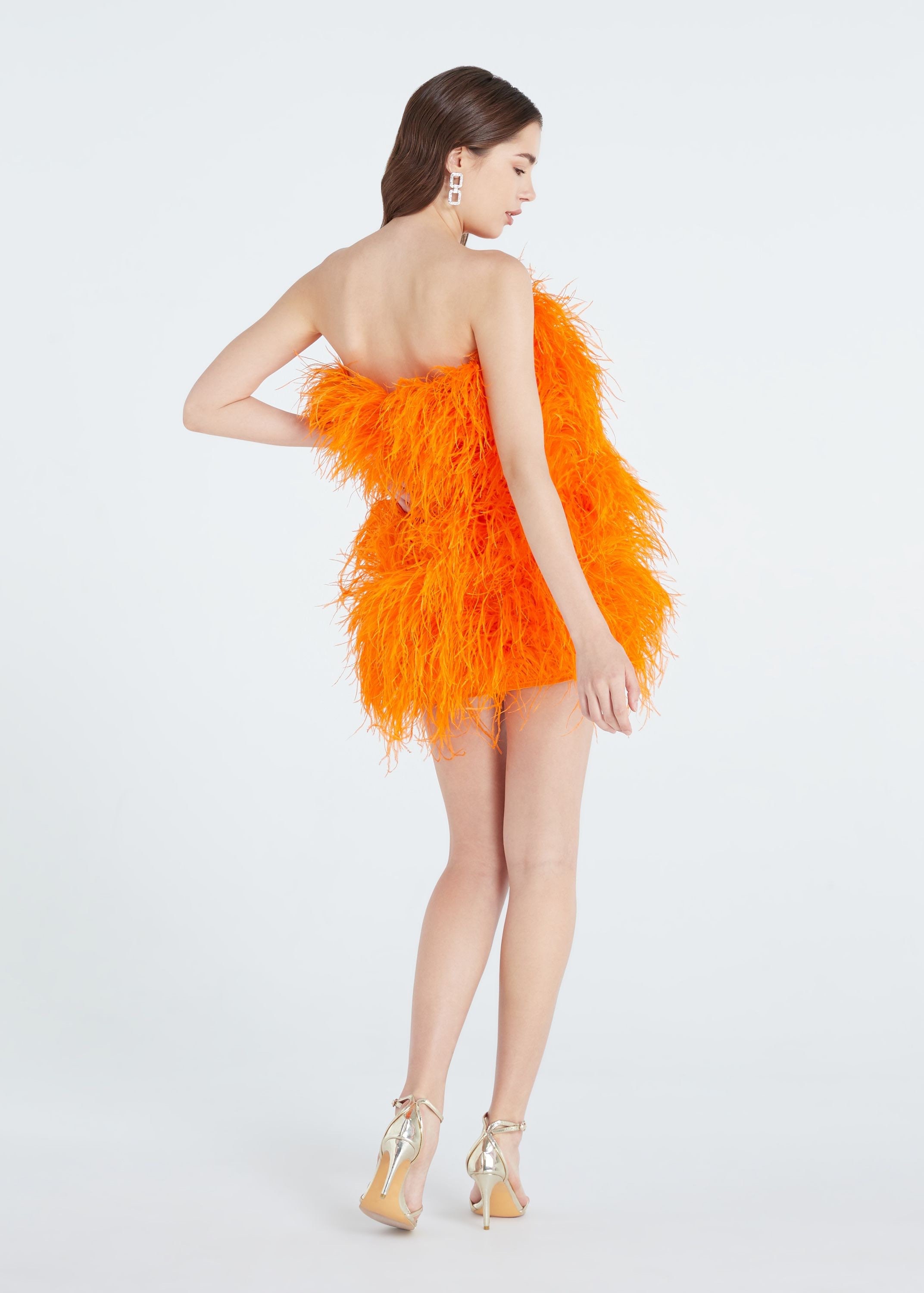 12+ Orange Feather Dress