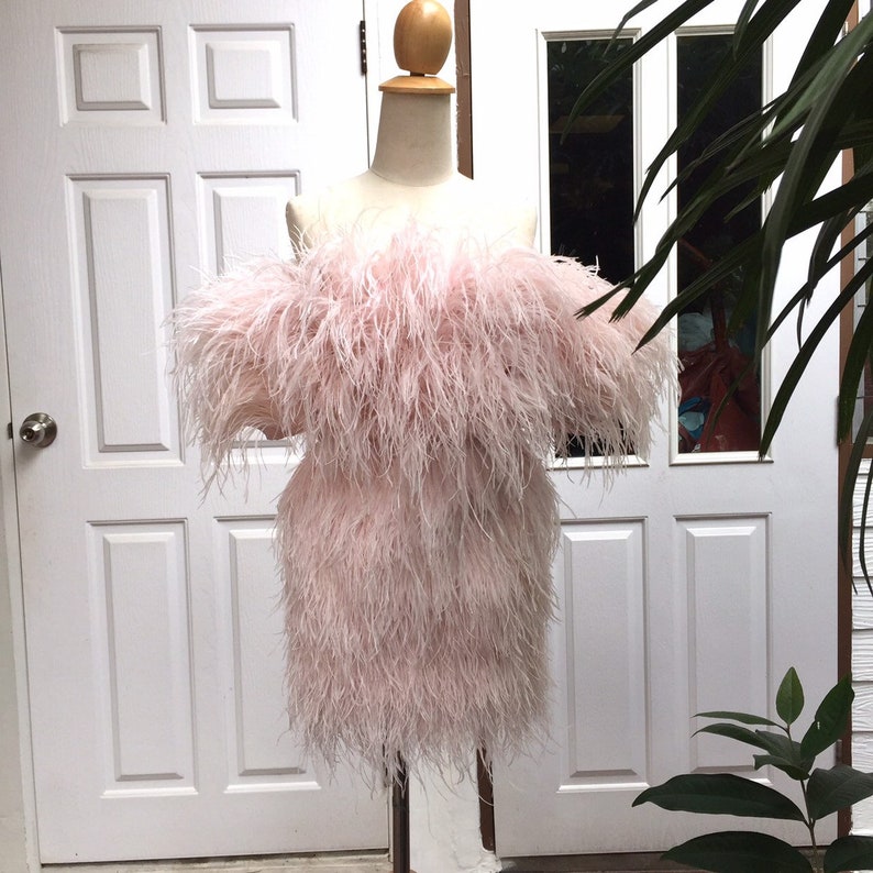 SGinstar Sophie  Pale Pink Off Shoulder Feathers Mini Dress image 3