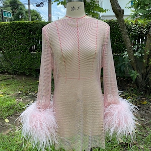 May include: A pink mesh mini dress with long sleeves and feather trim on the cuffs. The dress is on a mannequin and the background is a green bush.