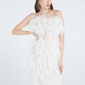 Anna Embroidered feathers Lace Dress,Wedding Dress,Feather Cocktail Dress, Feather Prom Dress, Feather Trim,Unique wedding dress