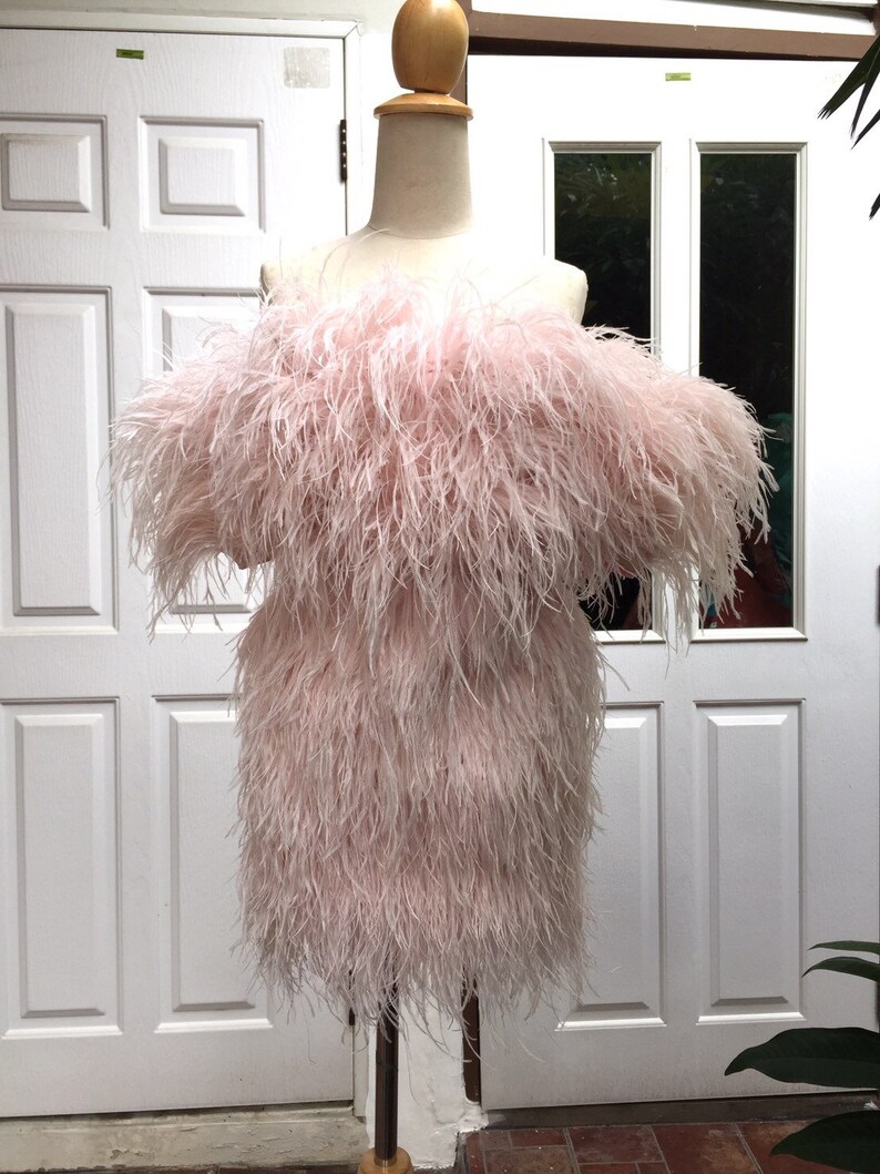 SGinstar Sophie  Pale Pink Off Shoulder Feathers Mini Dress image 4
