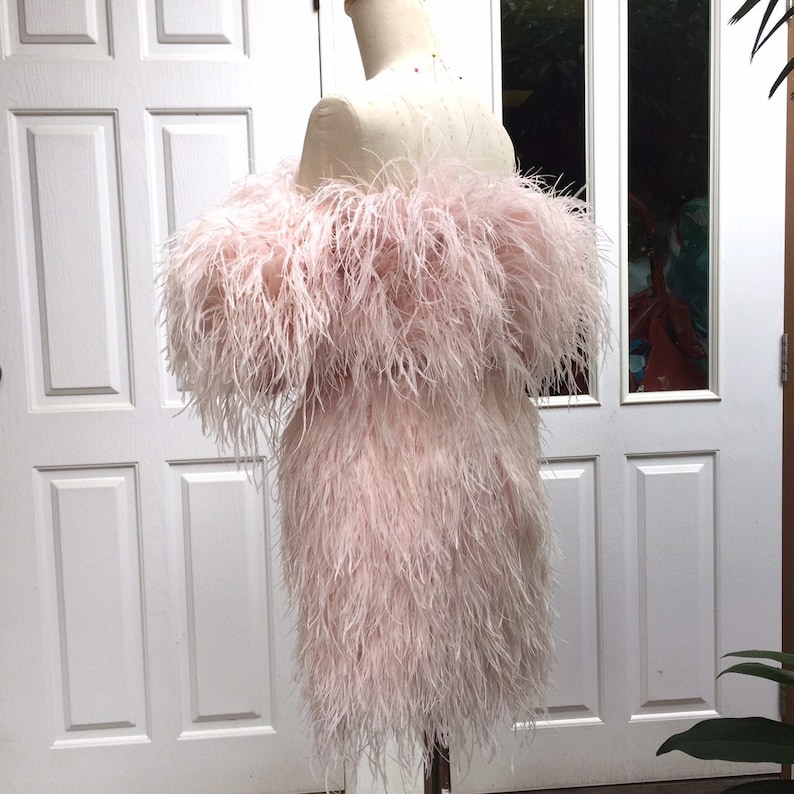 SGinstar Sophie  Pale Pink Off Shoulder Feathers Mini Dress image 5