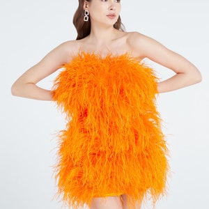 Aston Orange Feather Dress Feather Trim Dress Feather Cocktail Dress Feather Prom Dress
